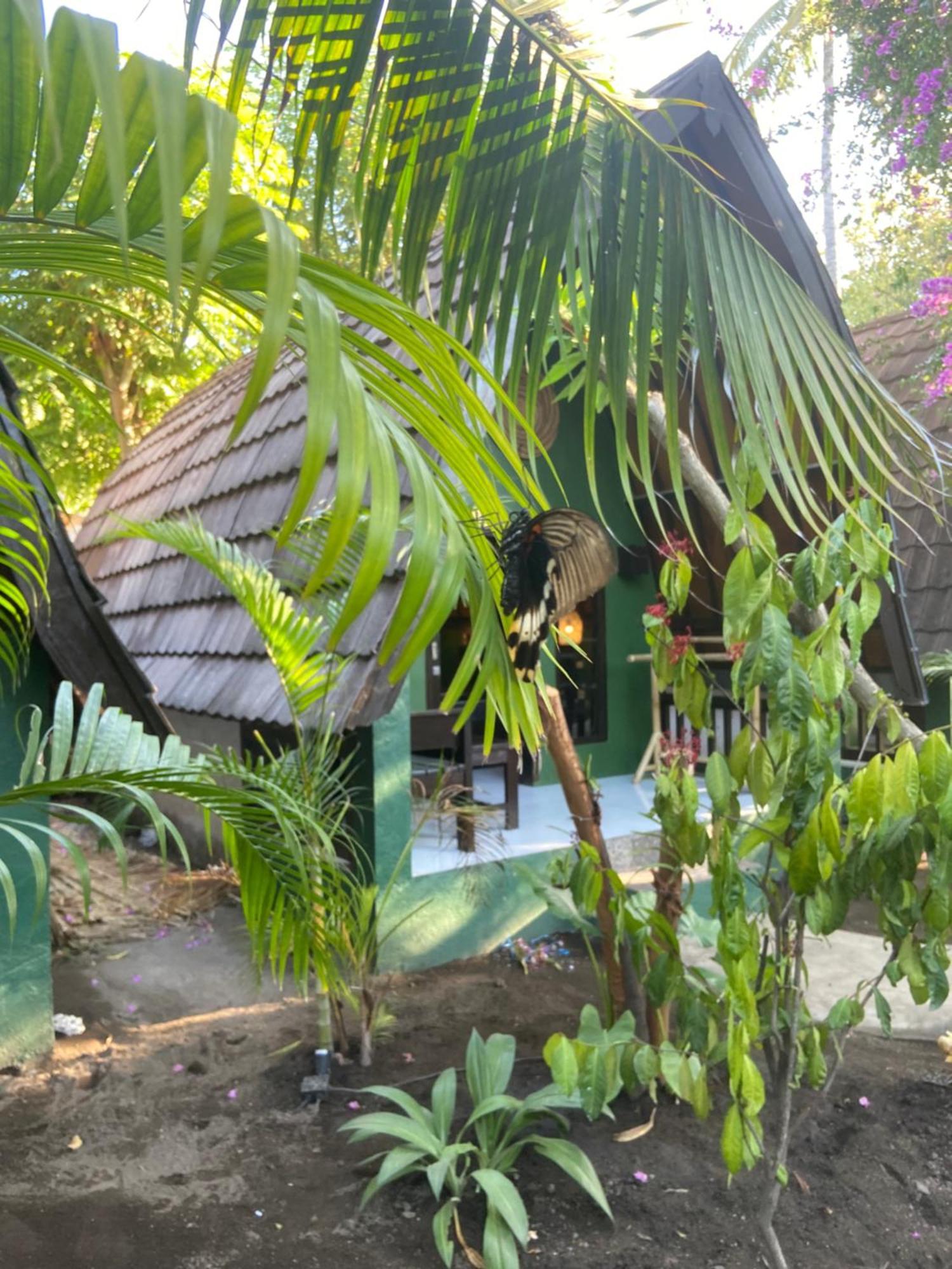 Hotel Mowglis Gili Air Esterno foto